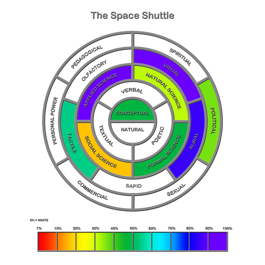 The Space Shuttle